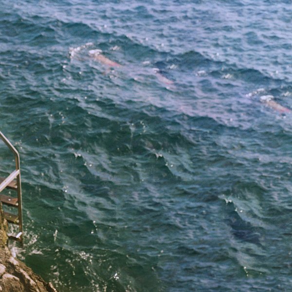 A LOVE LETTER TO SUMMER
