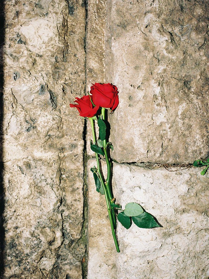 An Athenian Love Story